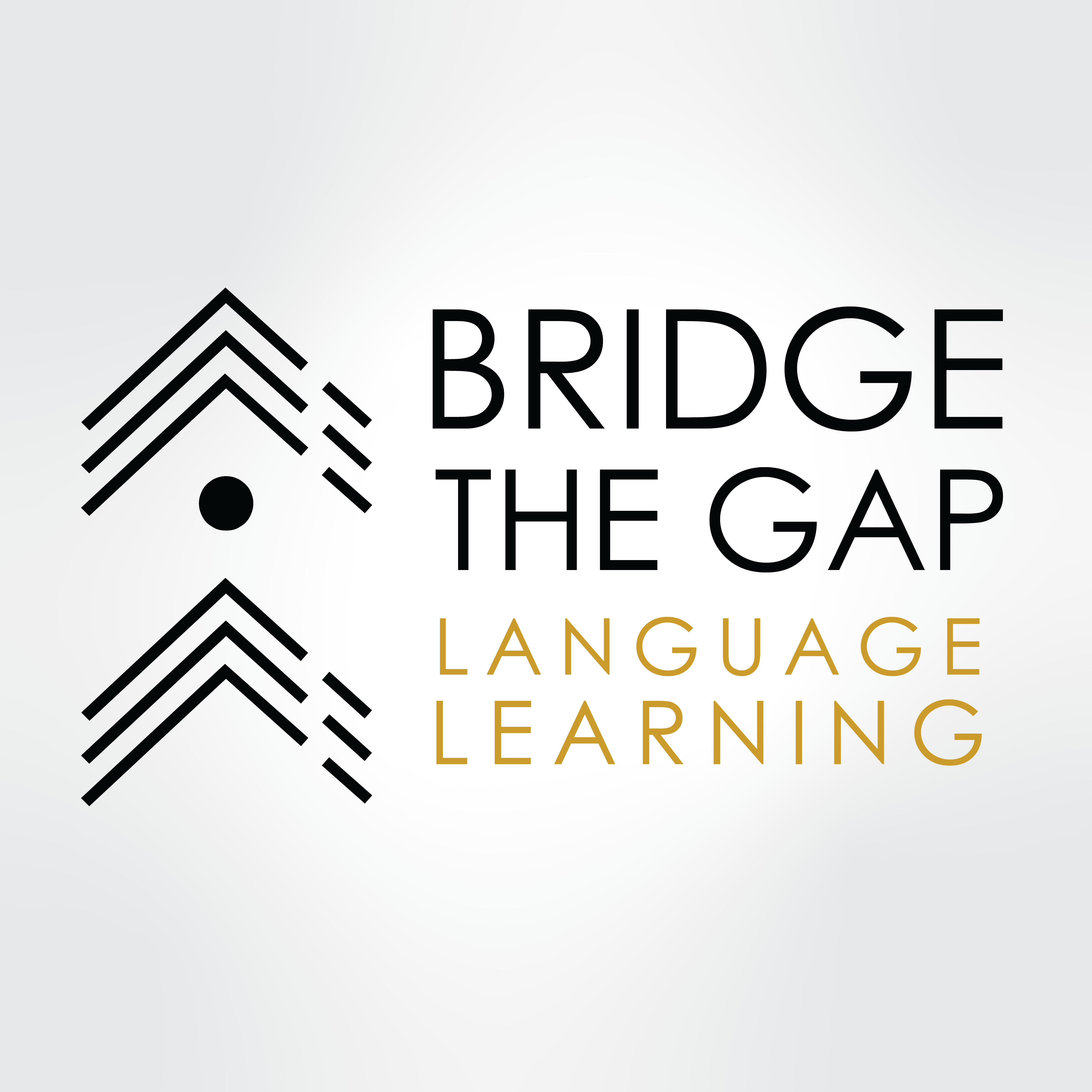 Bridge the Gap Spanish logo
